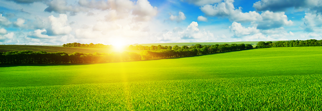 Photo of the sun rising over some green rolling hills.